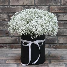 Цветочная композиция из Гипсофила в шляпной коробке в Петровское