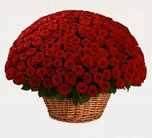 Премиум букет из: Розы #REPLACE_PRED# Петровское